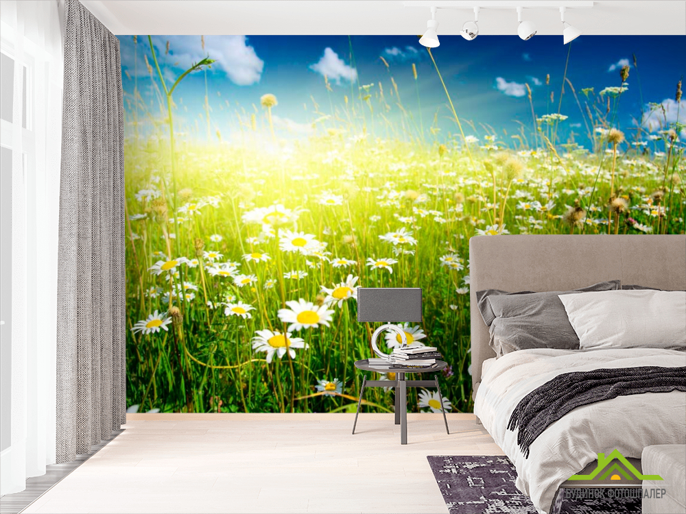 Фотообои Восход в ромашковом поле