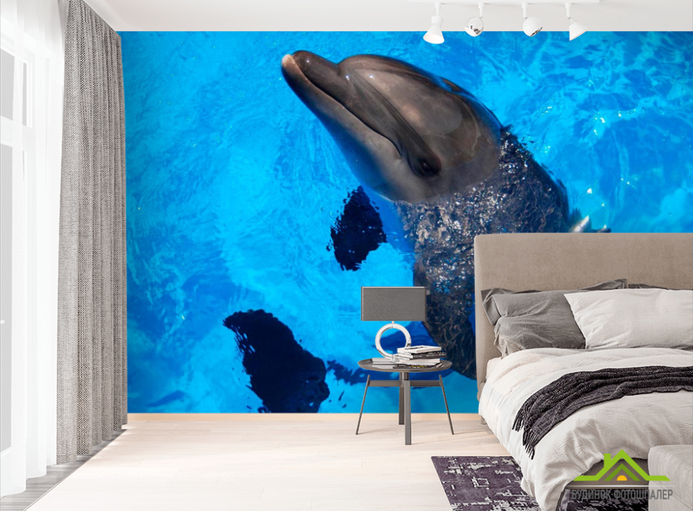 выбрать Фотообои Резвый дельфин Фотообои Дельфины на стену