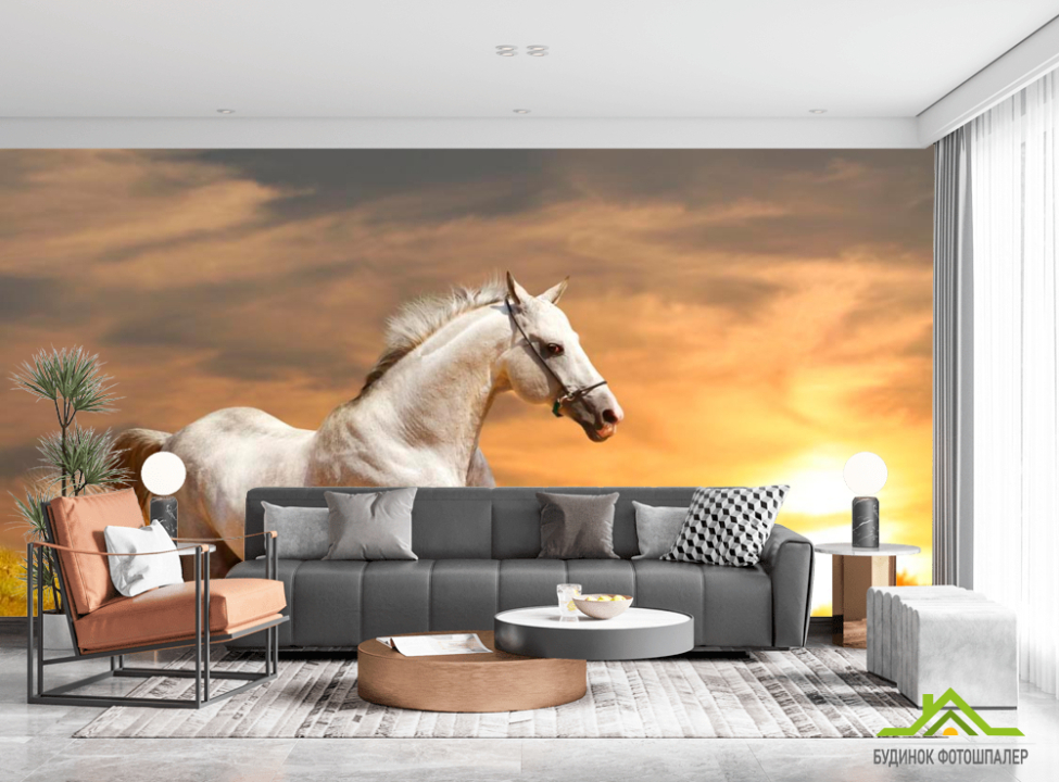 выбрать Фотообои Бегущий конь Фотообои Лошади на стену