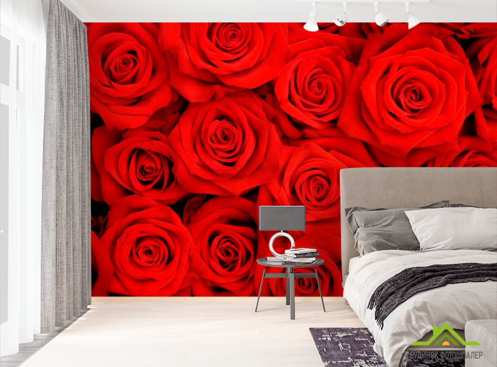 выбрать Фотообои Розы ярко-алые Фотообои Розы на стену