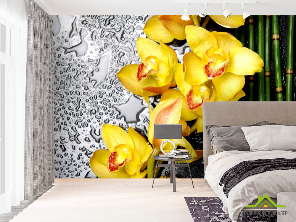 Фотошпалери Жовті орхідеї