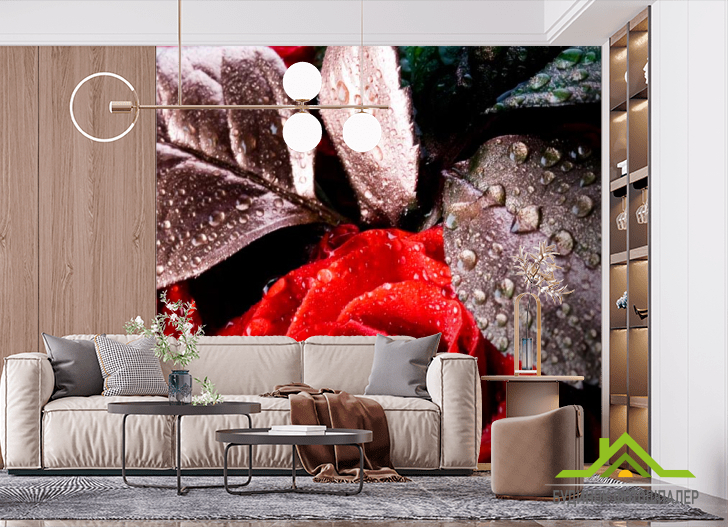 Фотообои Алая распустившаяся роза