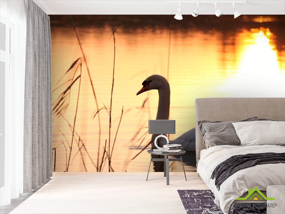 Фотообои Одинокий лебедь