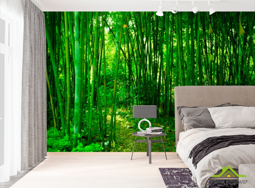 выбрать Фотообои Молодой бамбук  на стену