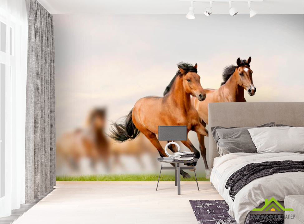 выбрать Фотообои Скачущие кони Фотообои Лошади на стену