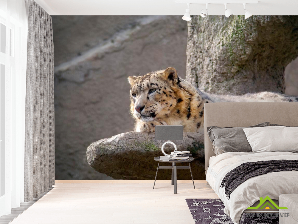 Фотообои Барс на камне
