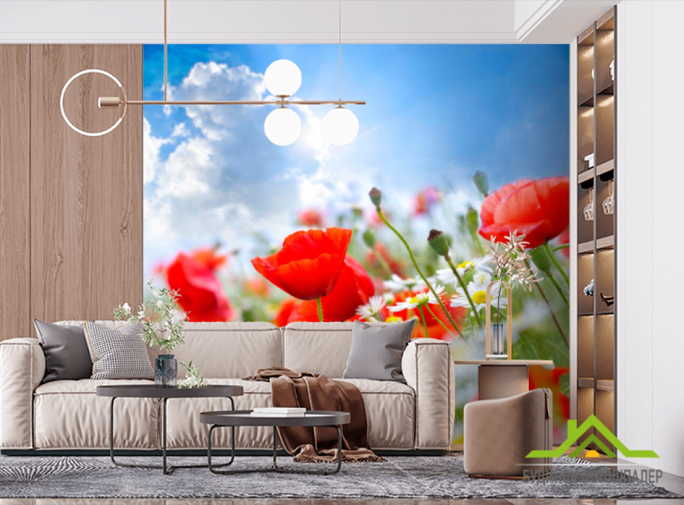 выбрать Фотошпалери Маки та ромашки Фотошпалери Квіти на стіну