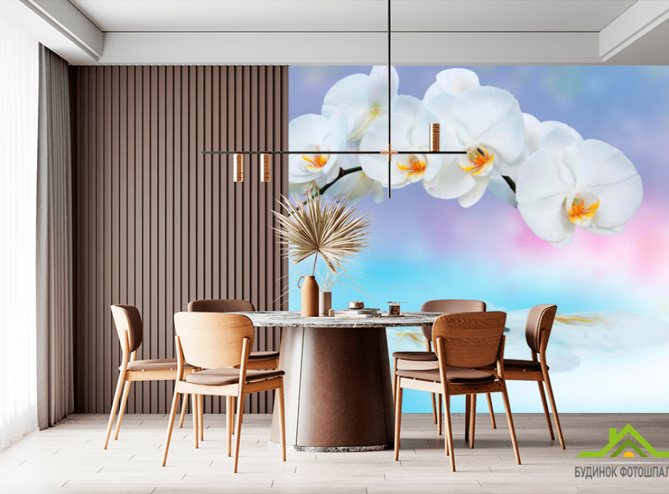 выбрать Фотообои Орхидея Фотообои Орхидеи на стену