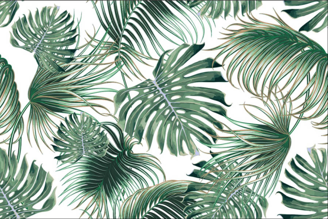 Фотошпалери мікс пальми і монстери