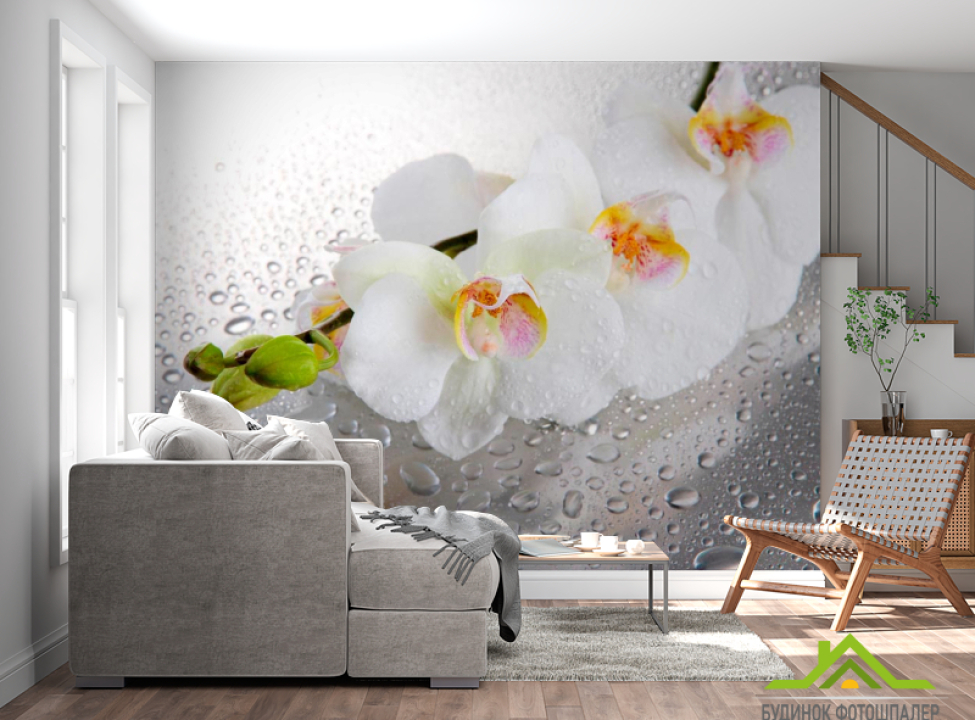 выбрать Фотообои Три белые орхидеи Фотообои Орхидеи на стену