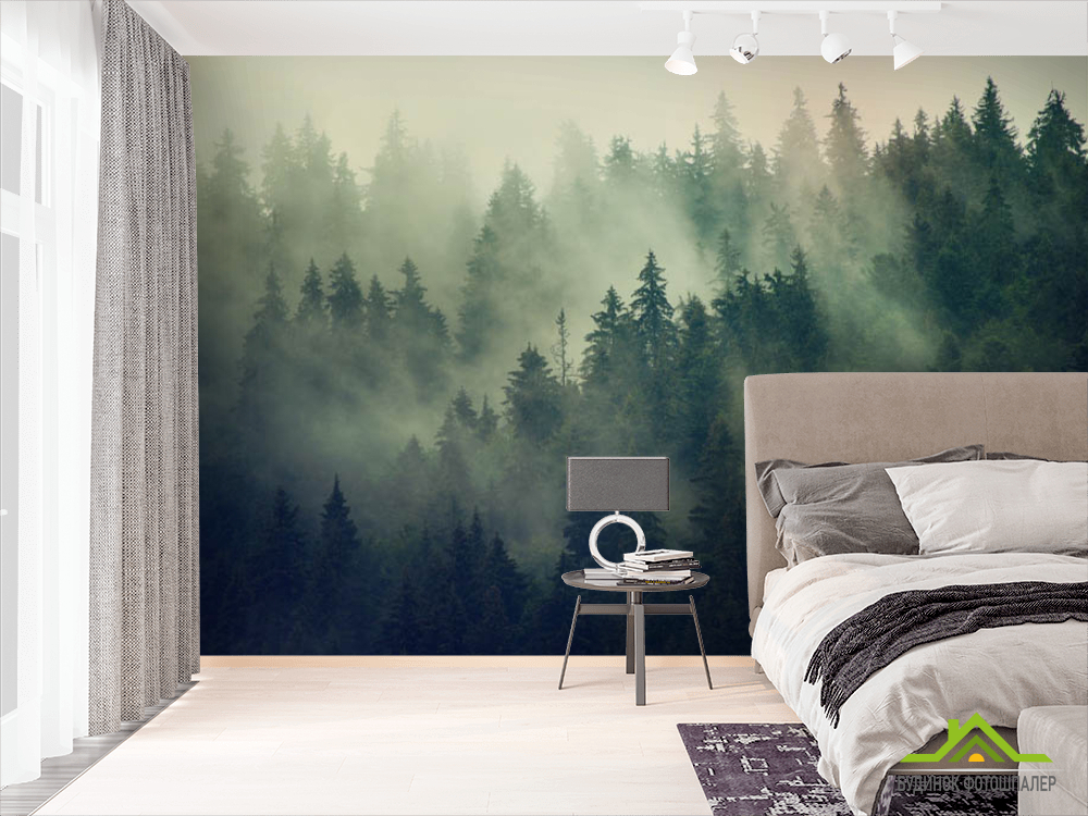 Фотообои Туманные сосны