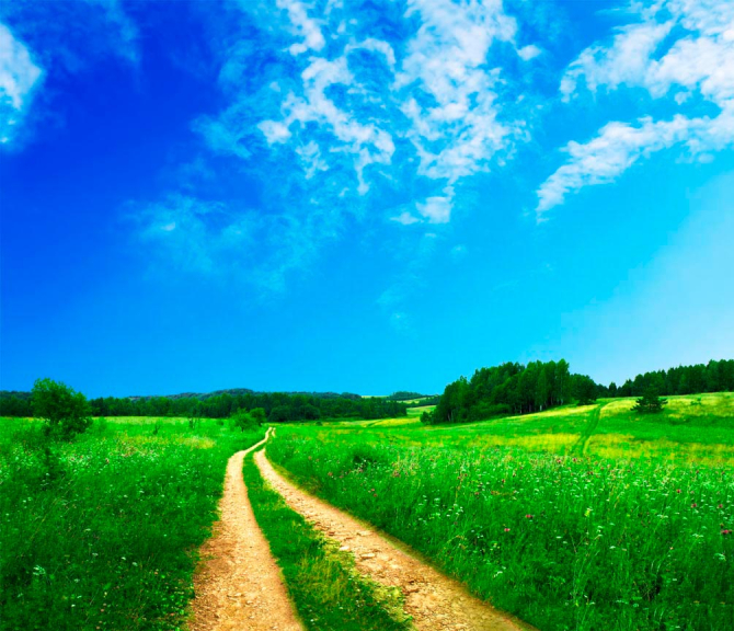 Фотошпалери Дорога у полі