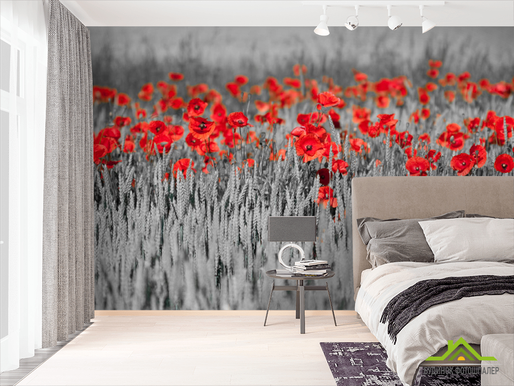 Фотошпалери Червоні маки на тлі чб