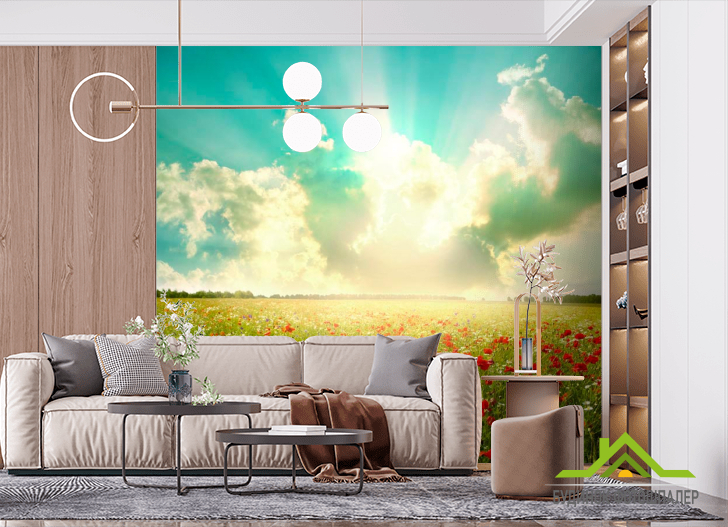 Фотообои Маки, поле, тучи