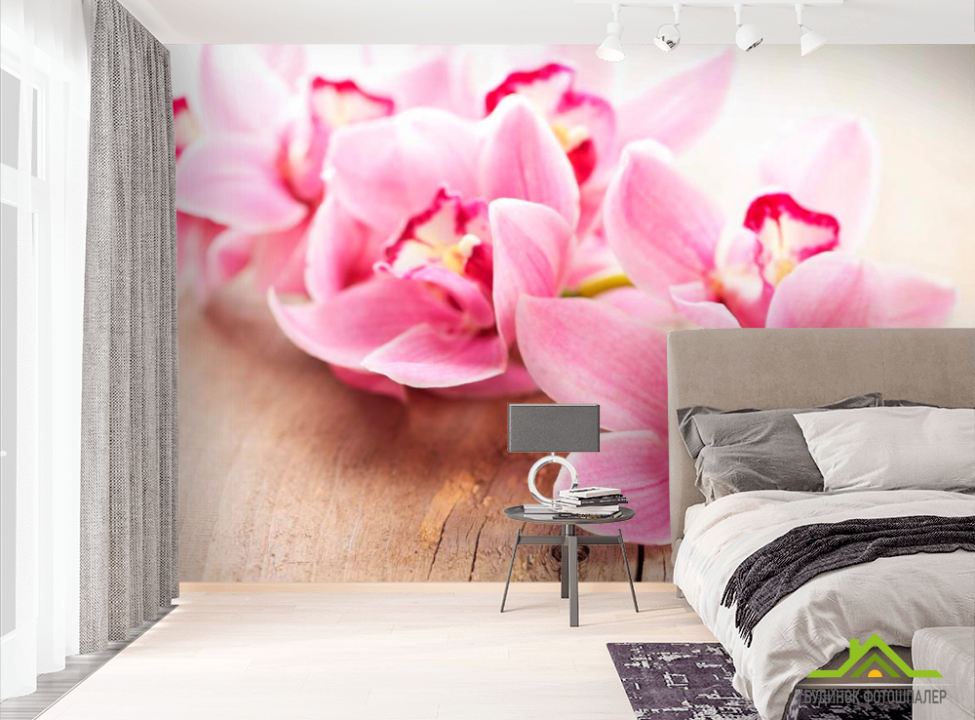 выбрать Фотообои Орхидея Фотообои Орхидеи на стену
