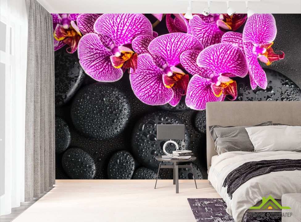 выбрать Фотошпалери бузкові орхідеї на чорних каменях з краплями Фотошпалери Орхідеї на стіну