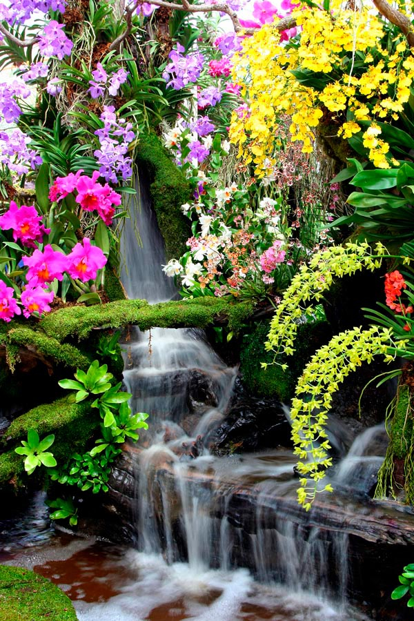 Фотообои Водопад