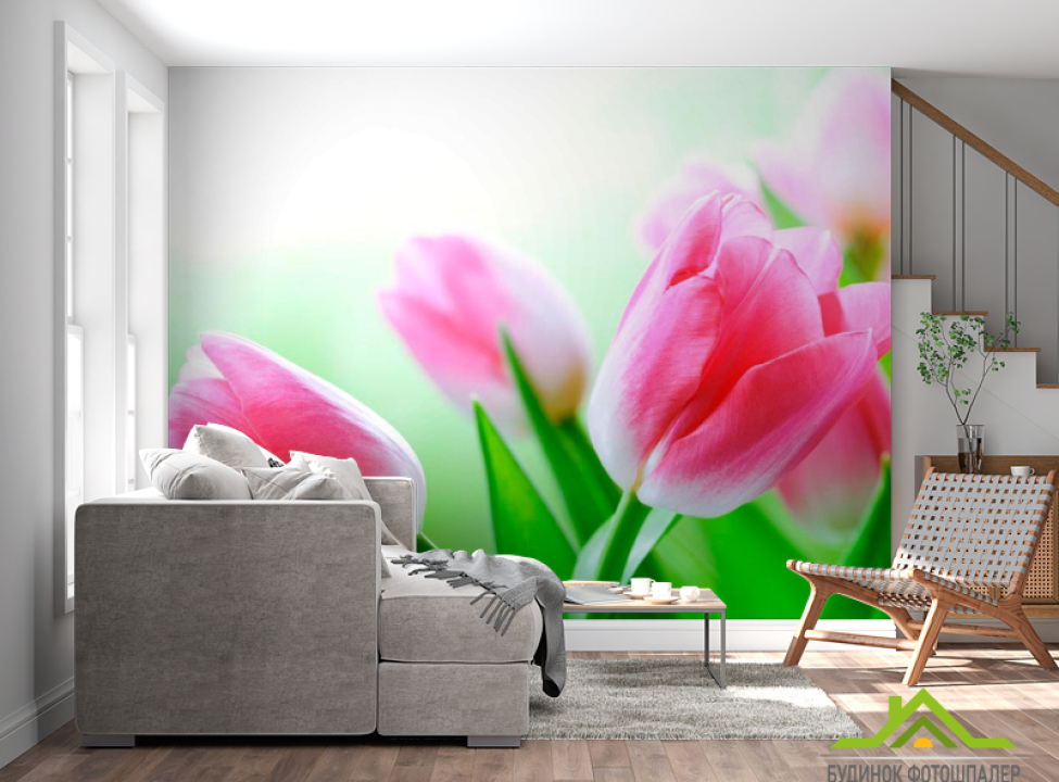 выбрать Фотообои Тюльпаны в цвету Фотообои Тюльпаны на стену