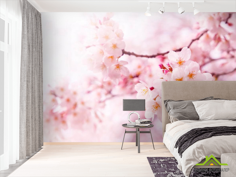 Фотошпалери Навесні квітуча вишня