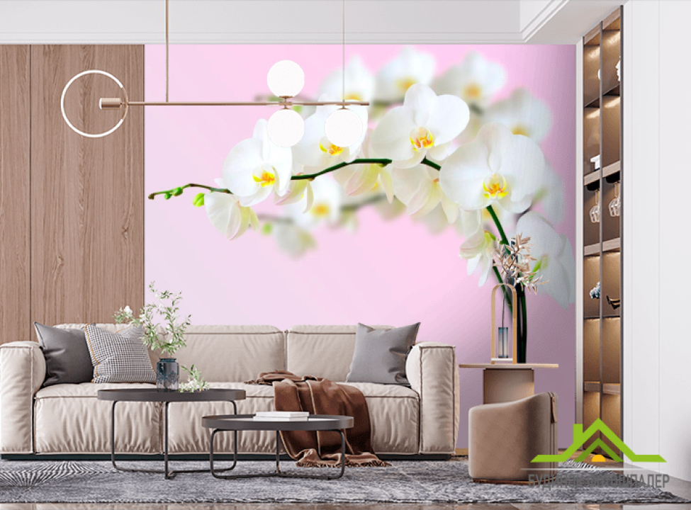 выбрать Фотошпалери Гілочка орхідей білосніжних Фотошпалери Квіти на стіну