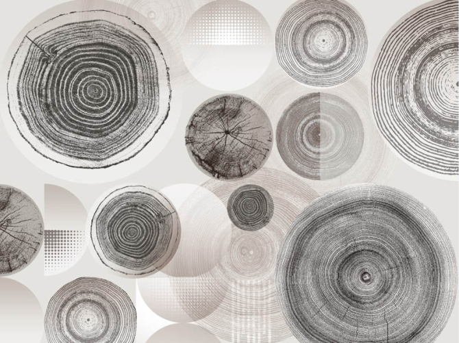 Фотообои Стильные круги