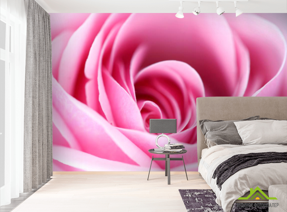 выбрать Фотошпалери Рожева бліда троянда Фотошпалери Троянди на стіну