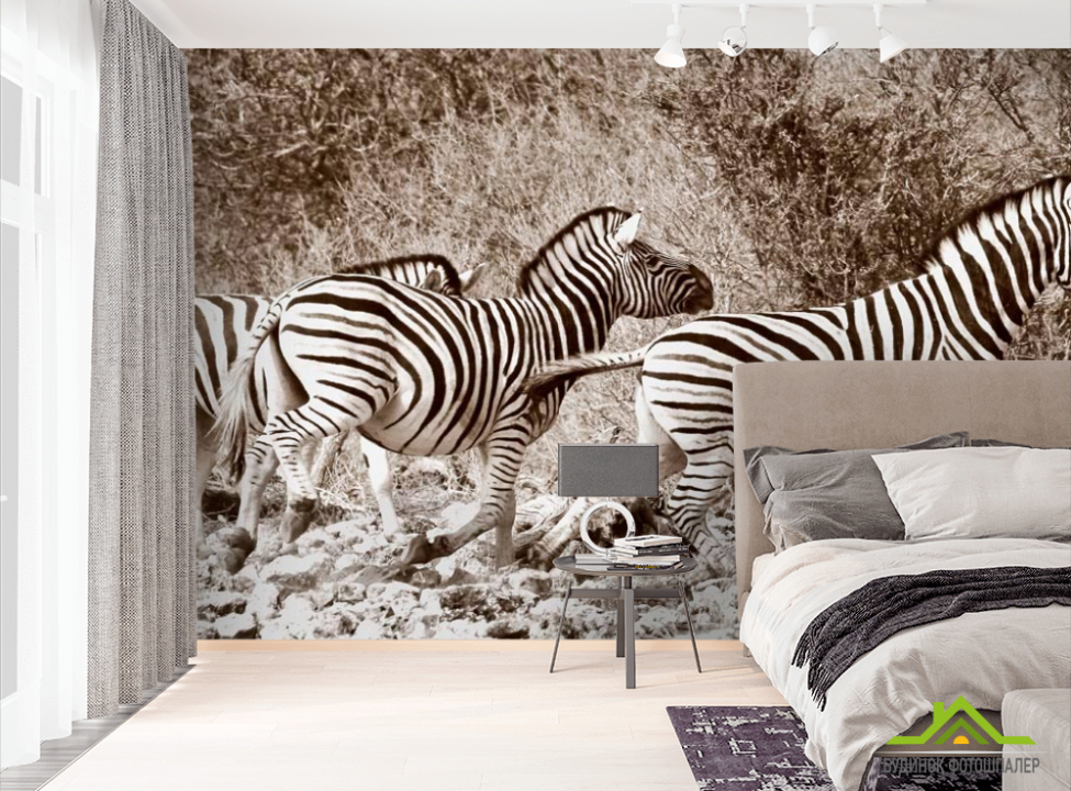 выбрать Фотошпалери Зебри в заростях Фотошпалери Зебри на стіну