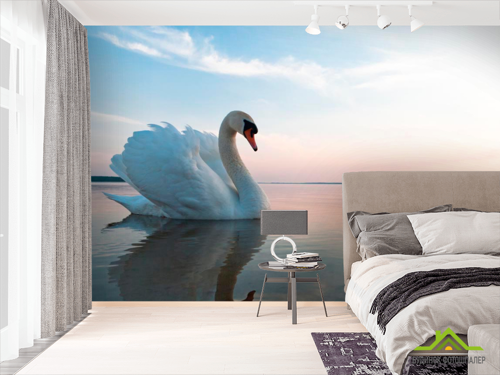 Фотообои Лебедь на пруду