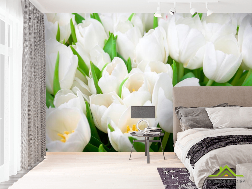Фотошпалери Тюльпани білосніжні