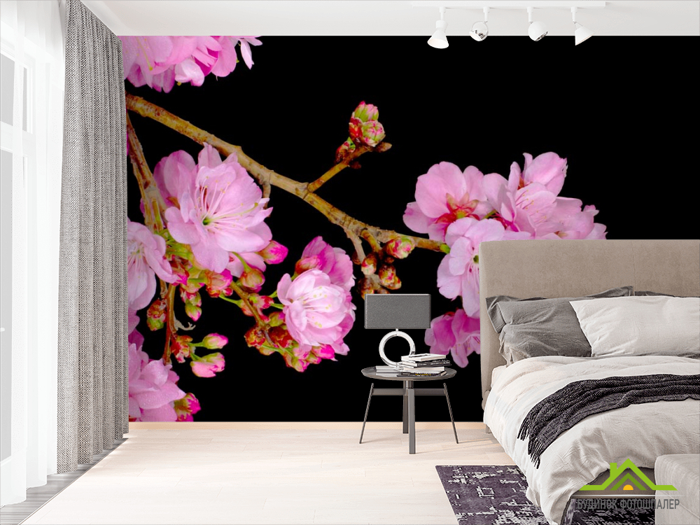 Фотошпалери Суцвіття персика