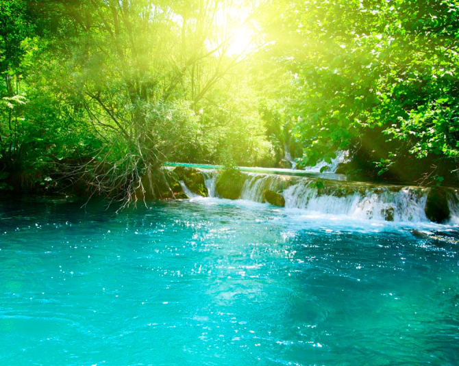 Фотошпалери Водичка і дерева