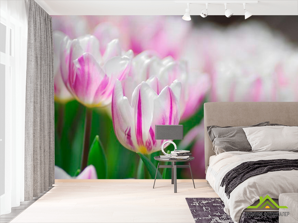 Фотообои Сиренево-белые подснежники