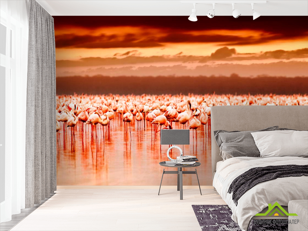 Фотообои Фламинго