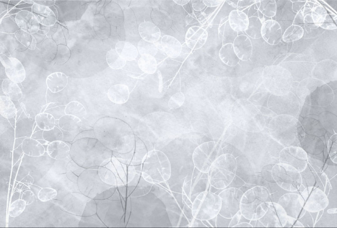 Фотообои Сухоцветы дизайнерские синие