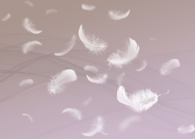 Фотошпалери Пір'я на рожевому тлі