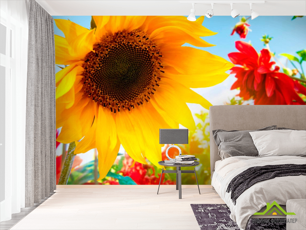 Фотошпалери Соняшник і гербера