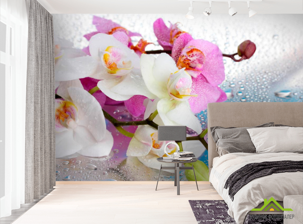 выбрать Фотошпалери Орхідеї малинові і білі Фотошпалери Квіти на стіну