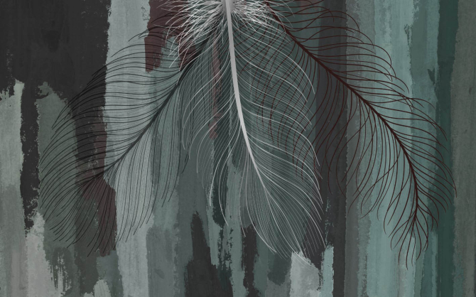 Фотошпалери Пір'я векторні