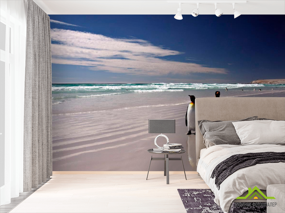 Фотообои Пингвины на берегу