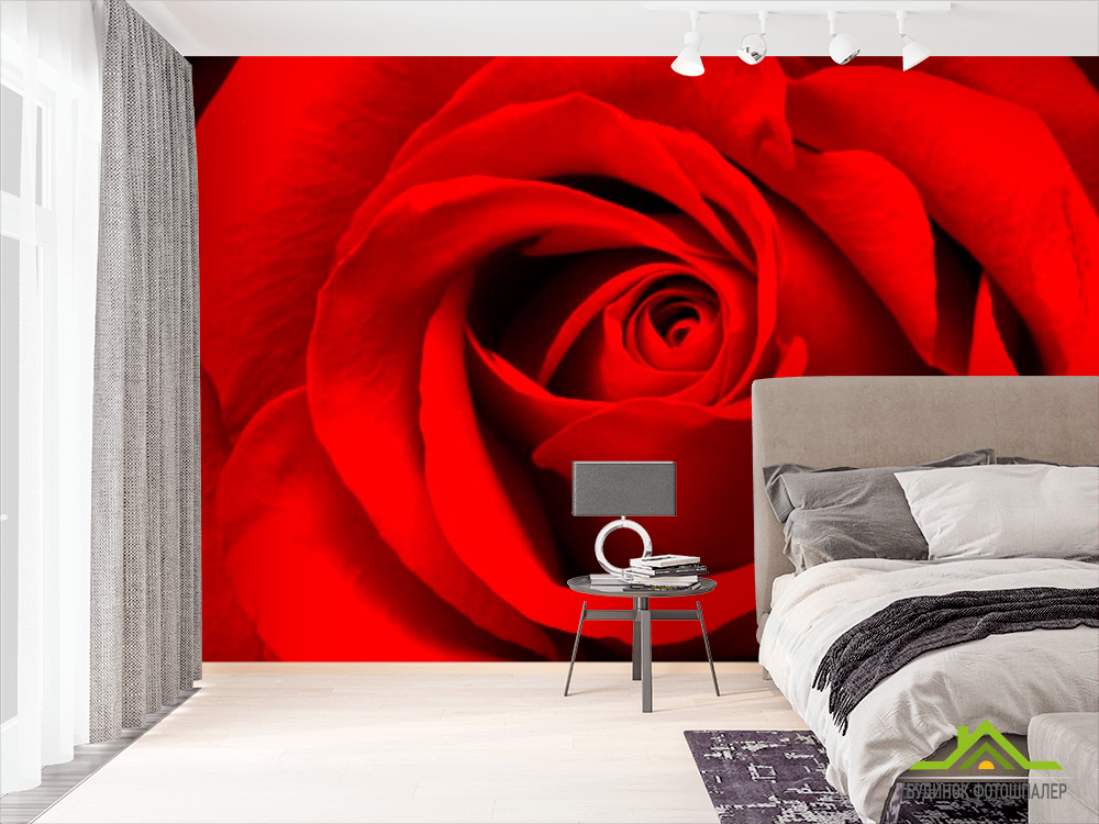 Фотообои Красная роза