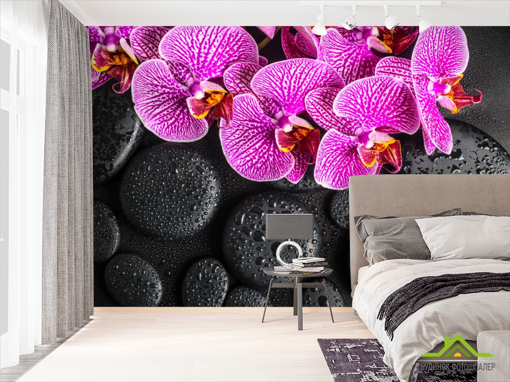 Фотошпалери бузкові орхідеї на чорних каменях з краплями
