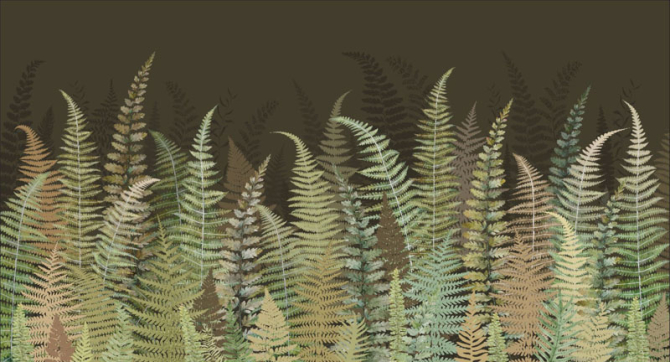 Фотошпалери листя папороті зелені