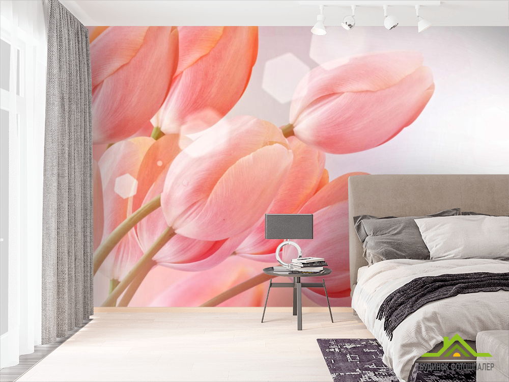 Фотообои розовые тюльпаны
