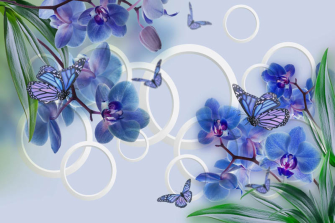 Фотошпалери сині орхідеї і метелики