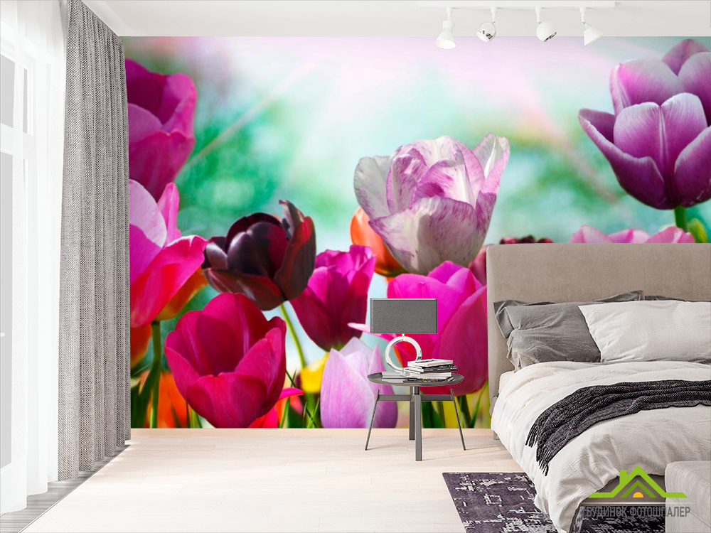 Фотошпалери Тюльпани рідкісних квітів
