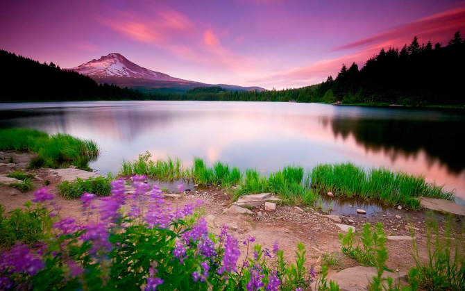 Фотообои Сказочный закат