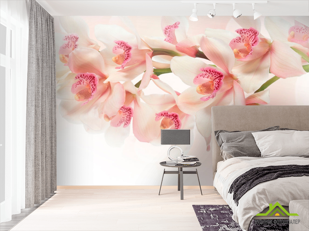 Фотообои Цветы