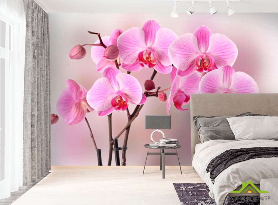 выбрать Фотошпалери Орхідеї рожевих тонів Фотошпалери Орхідеї на стіну