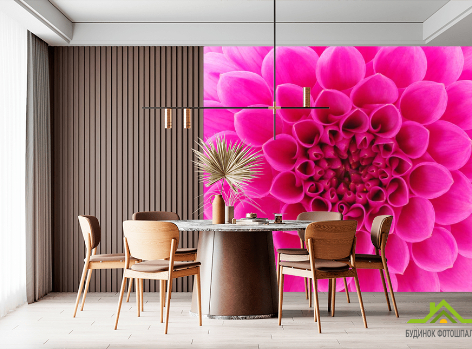 выбрать Фотообои Сотовый цветок малиновый Фотообои Цветы на стену