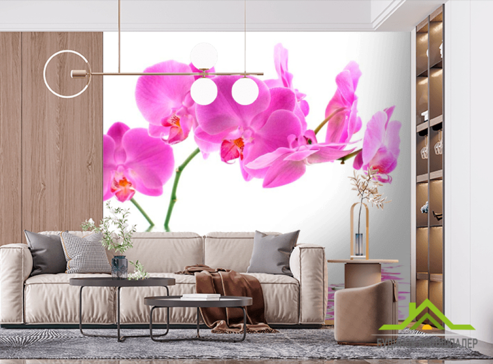 выбрать Фотообои В воде орхидеи Фотообои Орхидеи на стену